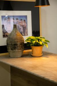 a vase sitting on a table next to a plant at Casa Nduxi Puebla Departamentos in Puebla