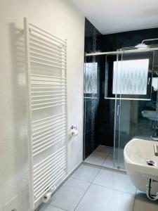 a bathroom with a glass shower and a sink at Allegra Appartements in Nohfelden