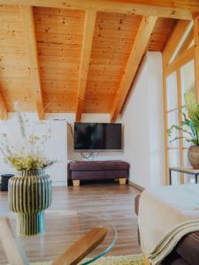a living room with a flat screen tv on a wooden ceiling at Appartement zur Linde in Marktschellenberg