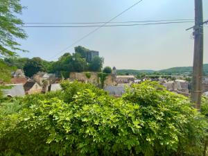 a view of a town from a bush at Maison Noëlle in Montignac