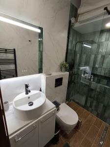 W łazience znajduje się toaleta, umywalka i prysznic. w obiekcie Callisto studio w Salonikach