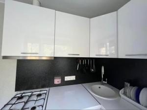 Kuchyň nebo kuchyňský kout v ubytování Narva Apartment AV
