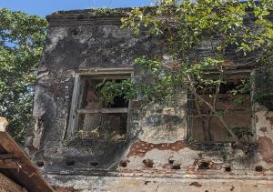 un antiguo edificio de piedra con una ventana con plantas en Hotel Sea Sea, en Pangani