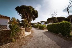 Jardín al aire libre en Kampaoh Tarifa