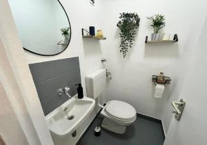 a bathroom with a toilet and a sink and a mirror at Wohnung für 1-2 Personen - Zu Fuß zur Messe - mit U-Bahn in die City in Nuremberg