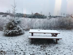 a snow covered picnic table with a cup of coffee on it at La Pause Aigoual in Valleraugue
