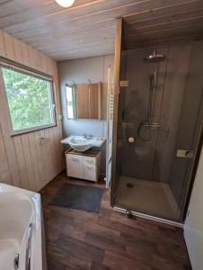 a bathroom with a shower and a sink at Hausboot Insel Valentinswerder Berlin in Berlin