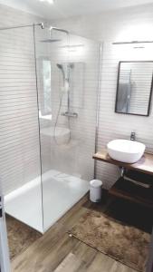 a bathroom with a shower and a sink at Magnifique bergerie corse du 17eme Siècle à proximité des plages in Eccica-Suarella