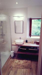 a bathroom with a sink and a shower at Magnifique bergerie corse du 17eme Siècle à proximité des plages in Eccica-Suarella
