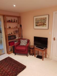 ein Wohnzimmer mit einem roten Sessel und einem Fernseher in der Unterkunft Sweet Modern Country Cottage with Garden in Frome + 22 Fotos