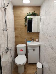a small bathroom with a toilet and a sink at Apart 8 in Sandanski