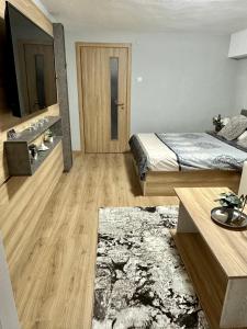 Schlafzimmer mit einem Bett, einem TV und einem Teppich in der Unterkunft Apart 8 in Sandanski