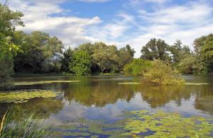 Príroda v okolí luxusného stanu