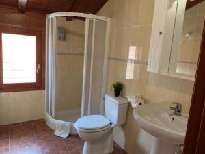 a bathroom with a toilet and a shower and a sink at La Galera Barrios Altos in Guadalaviar