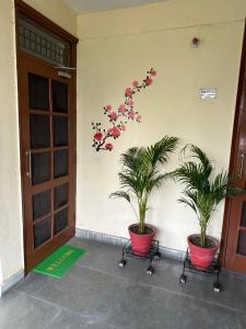 Guru Mehar外面的花园