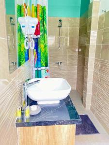 La salle de bains est pourvue d'un lavabo et d'une douche. dans l'établissement AUBERGE DU NORD, à Mitsamiouli