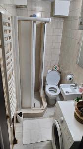 ein kleines Bad mit einer Dusche und einem WC in der Unterkunft Konak in Kragujevac