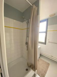 une salle de bain avec douche et baignoire dans l'établissement Appartement à la Naturelle, à Wimereux 8 autres photos