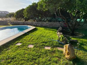un patio con piscina y un árbol en Casa rural con piscina en Conil de la Frontera - Casa Oeste, en Cádiz