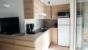 eine kleine Küche mit Spüle und Kühlschrank in der Unterkunft royal blue in Argelès-sur-Mer