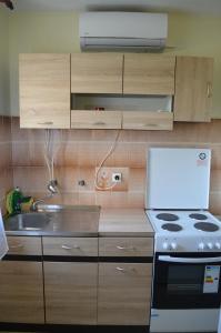 una cucina con fornelli e lavello di Apartments Aneva 1 a Baška