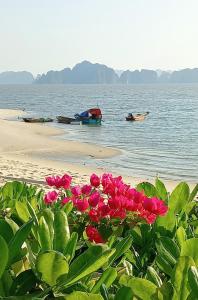 a group of flowers on a beach with boats in the water at The Wonder Bay Halong studio in Ha Long
