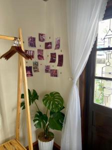 Fotografie z fotogalerie ubytování Ame Soeur Đà Lạt v destinaci Da Lat