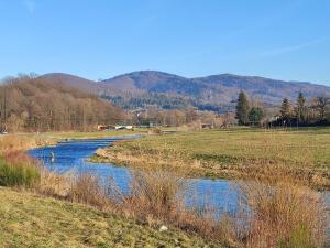 a river in a field with mountains in the background at Apartamenty w Beskidach in Górki Wielkie