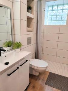 a bathroom with a toilet and a sink and a window at Apartamenty w Beskidach in Górki Wielkie