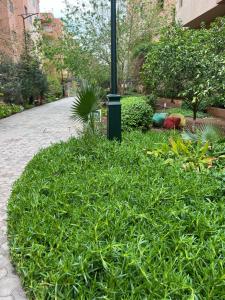 um pedaço de relva ao lado de um poste de rua em Appartement safran avec piscine em Marraquexe