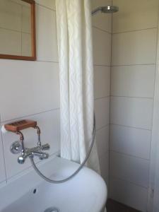 un bagno con doccia e servizi igienici combinati di Ferienhaus Loissin a Loissin