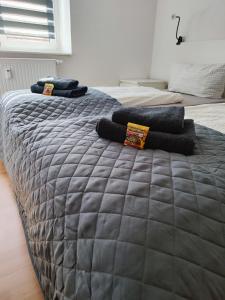 - une chambre avec 2 lits dotés de couvertures et d'oreillers gris dans l'établissement private Ferienwohnung Senftenberg, à Sedlitz