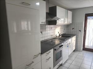 a white kitchen with a sink and a stove at Apartment Bamboleo in Veringendorf