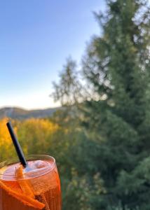 una bebida con una paja sentada en una mesa en stuub hinterzarten en Hinterzarten