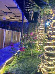 Ảnh trong thư viện ảnh của The royal cottage Amman ở Al Qasţal