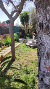 a garden with a tree and a stone wall at Oasi Marina in Catania