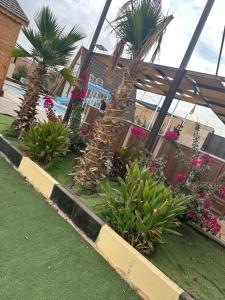 Ảnh trong thư viện ảnh của The royal cottage Amman ở Al Qasţal