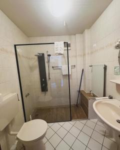 a bathroom with a shower and a toilet and a sink at Hotel und Restaurant Sackwitzer Mühle in Bad Schmiedeberg