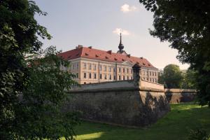 a building with a roof on top of a wall at Apartament Baldachówka in Rzeszów