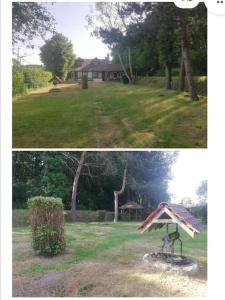 dos fotos de un patio con una casa en Au Cerf Charmeur, en Allogny