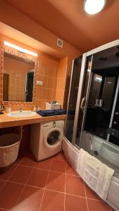 ein Badezimmer mit einem Waschbecken und einer Waschmaschine in der Unterkunft Makra-tető Öregtölgy Apartman in Pécs