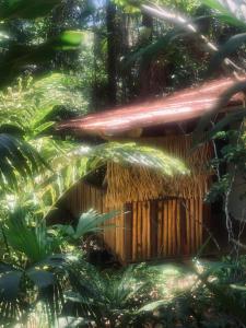 a bamboo house with a straw roof in a forest at Quinta do Cajú in Ilha de Boipeba