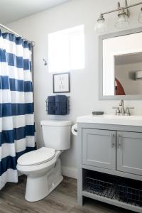 een witte badkamer met een toilet en een wastafel bij McKamy Cottage at Wrenwood Ranch, King Bed in Johnson City