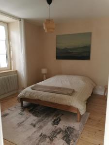 - une chambre avec un lit dans l'établissement Appartement au calme RDC jardin, à Wasselonne