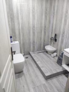 a bathroom with a toilet and a sink at Baba Residence in Oran