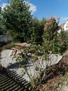 - un jardin avec une table de pique-nique et des fleurs dans l'établissement Appartement au calme RDC jardin, à Wasselonne