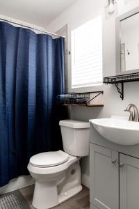 a bathroom with a toilet and a sink and a blue shower curtain at Anderson Cottage at Wrenwood Ranch, King Bed, Walking Distance to the Winery in Johnson City