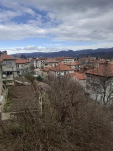a view of a city with buildings and trees at Apartment Ceco in Troyan
