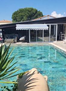 a person laying in the water in a swimming pool at La Villa de la Marana in Borgo