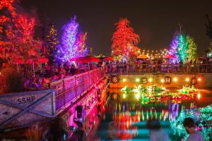 un groupe d'arbres de Noël avec des lumières sur un pont dans l'établissement Luxurious Condo, Amazing Location, à Philadelphie